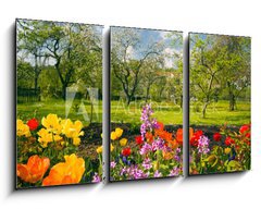 Obraz 3D tdln - 90 x 50 cm F_BS40326527 - Blumen vor Streuobstgarten