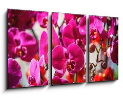 Obraz 3D tdln - 90 x 50 cm F_BS404163795 - Close
