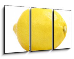 Obraz   lemon, 90 x 50 cm