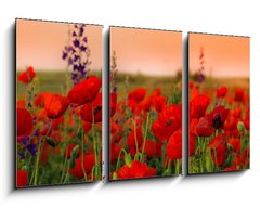 Obraz 3D tdln - 90 x 50 cm F_BS40720767 - Field of poppies on a sunset
