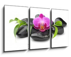 Obraz 3D tdln - 90 x 50 cm F_BS40752784 - orchid