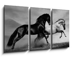 Obraz   horses run, 90 x 50 cm