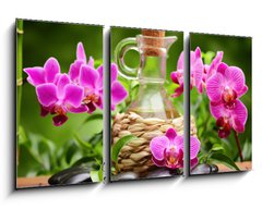 Obraz 3D tdln - 90 x 50 cm F_BS40893550 - spa concept