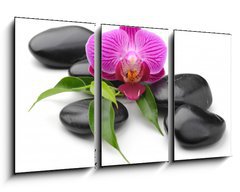 Obraz 3D tdln - 90 x 50 cm F_BS40893585 - orchid