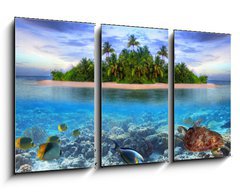 Obraz 3D tdln - 90 x 50 cm F_BS40914644 - Marine life at tropical island of Maldives