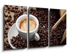 Obraz 3D tdln - 90 x 50 cm F_BS41084792 - Espresso