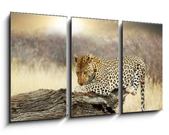 Obraz   Leopard, 90 x 50 cm