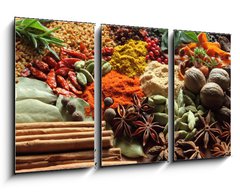 Obraz 3D tdln - 90 x 50 cm F_BS41495761 - Herbs and spices. - Bylinky a koen.