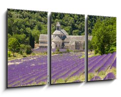 Obraz 3D tdln - 90 x 50 cm F_BS41520883 - Abbaye de SmAbbaye de Smamque Francia