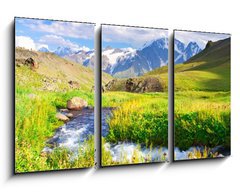 Obraz 3D tdln - 90 x 50 cm F_BS41700210 - River on meadow