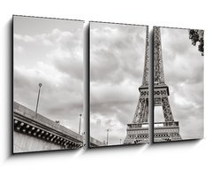 Obraz 3D tdln - 90 x 50 cm F_BS41892250 - Eiffel tower view from Seine river square format