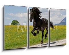 Obraz 3D tdln - 90 x 50 cm F_BS41915305 - Friese - Friesian