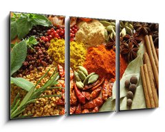 Obraz 3D tdln - 90 x 50 cm F_BS42017761 - Spices and herbs - Koen a byliny