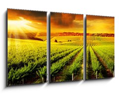 Obraz 3D tdln - 90 x 50 cm F_BS42395057 - Stunning Vineyard Sunset