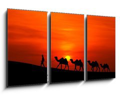 Obraz 3D tdln - 90 x 50 cm F_BS42832651 - camel caravan sillhouette with sunset