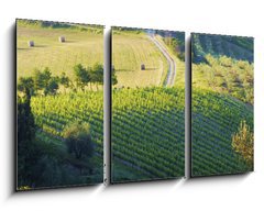 Obraz 3D tdln - 90 x 50 cm F_BS42859045 - campagna Toscana, Italia