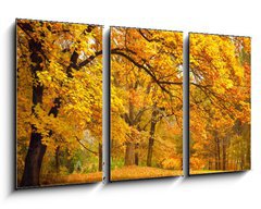 Obraz   Autumn / Gold Trees in a park, 90 x 50 cm