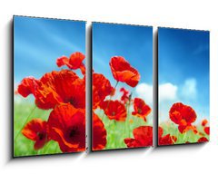 Obraz 3D tdln - 90 x 50 cm F_BS43614207 - Poppy flowers on field