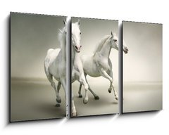 Obraz   White horses, 90 x 50 cm