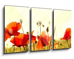 Obraz 3D tdln - 90 x 50 cm F_BS43890892 - mak