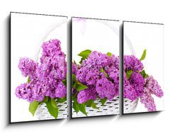 Obraz   beautiful lilac flowers in basket isolated on white, 90 x 50 cm