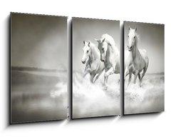 Obraz 3D tdln - 90 x 50 cm F_BS44040199 - Herd of white horses running through water