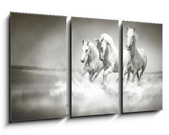 Obraz 3D tdln - 90 x 50 cm F_BS44040199 - Herd of white horses running through water