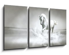 Obraz   White horse running through water, 90 x 50 cm