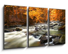 Obraz 3D tdln - 90 x 50 cm F_BS44082572 - Autumn landscape with trees and river - Podzimn krajina se stromy a ekou