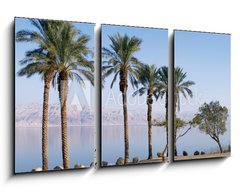 Obraz 3D tdln - 90 x 50 cm F_BS44209054 - Dead Sea - Mrtv moe