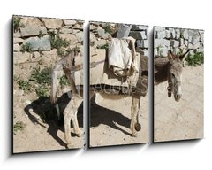 Obraz 3D tdln - 90 x 50 cm F_BS44262409 - Esel von trauriger Gestalt