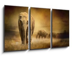 Obraz   Elephants at sunset, 90 x 50 cm