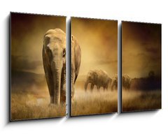 Obraz 3D tdln - 90 x 50 cm F_BS44396758 - Elephants at sunset