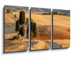 Obraz 3D tdln - 90 x 50 cm F_BS44861103 - Tuscan countryside at sunset, near Pienza, Tuscany, Italy