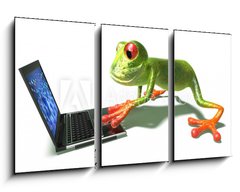 Obraz 3D tdln - 90 x 50 cm F_BS4498529 - Grenouille devant un ordinateur portable