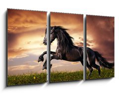 Obraz   Black Friesian horse gallop, 90 x 50 cm