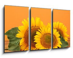 Obraz 3D tdln - 90 x 50 cm F_BS45286200 - sunflowers on yellow background