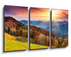 Obraz 3D tdln - 90 x 50 cm F_BS45387247 - autumn - podzim