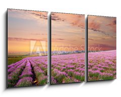 Obraz 3D tdln - 90 x 50 cm F_BS45630715 - Meadow of lavender