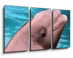 Obraz 3D tdln - 90 x 50 cm F_BS45790303 - Beluga whale - Beluga velryba