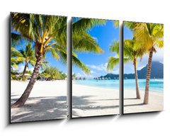 Obraz 3D tdln - 90 x 50 cm F_BS45867678 - Bora Bora beach