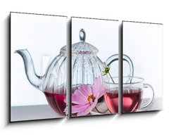 Obraz 3D tdln - 90 x 50 cm F_BS45902961 - Herbal tea