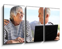 Obraz 3D tdln - 90 x 50 cm F_BS46296780 - Senior couple in the garden with laptop and book