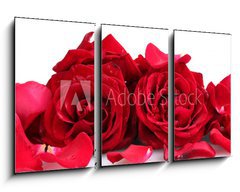 Obraz 3D tdln - 90 x 50 cm F_BS46400536 - beautiful red roses and petals isolated on white