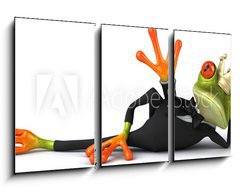 Obraz 3D tdln - 90 x 50 cm F_BS46492508 - Fun frog