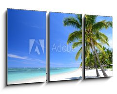 Obraz 3D tdln - 90 x 50 cm F_BS46621590 - Mauritius