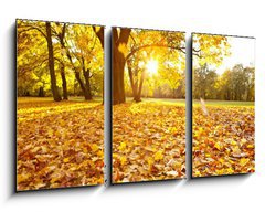 Obraz 3D tdln - 90 x 50 cm F_BS46662190 - herbsttag