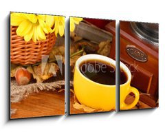 Obraz 3D tdln - 90 x 50 cm F_BS46892216 - autumnal composition:coffee grinder, flowers  and leaves