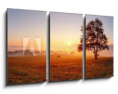 Obraz   Alone tree on meadow at sunset with sun and mist  panorama, 90 x 50 cm