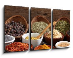 Obraz   Different bowls of spices, 90 x 50 cm